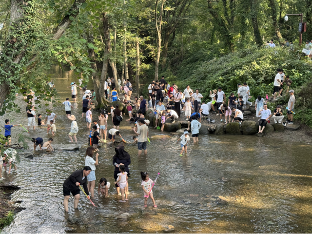 【早安，黄山】黄山用心服务八方客 ‖ 齐云山度假区单日游客量突破6万人次