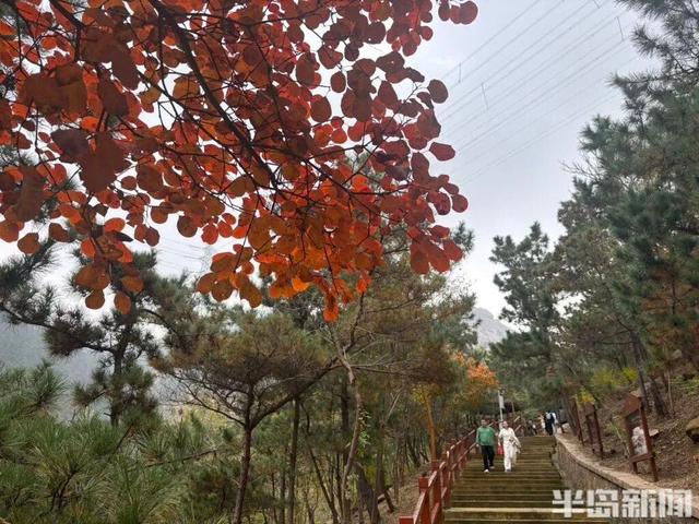 青岛八大关，乌泱泱的人为一件事而来！一款“魔法帽”火了！现场照片→