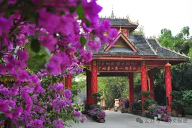 文化中国行丨勐景来：时光深处的秘境！图片