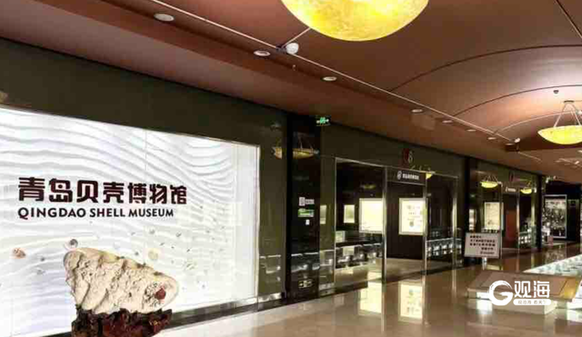青岛贝壳博物馆9月20日免费开放，预约通道已开启