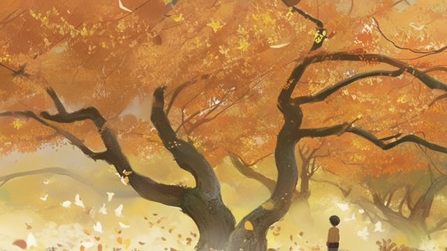 层林尽染赏秋时！宝山11月文旅活动清单，超多活动等你来打卡