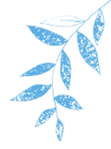 悦·遵义 | 冬游播州——约会太阳坪，冰雪暖世界