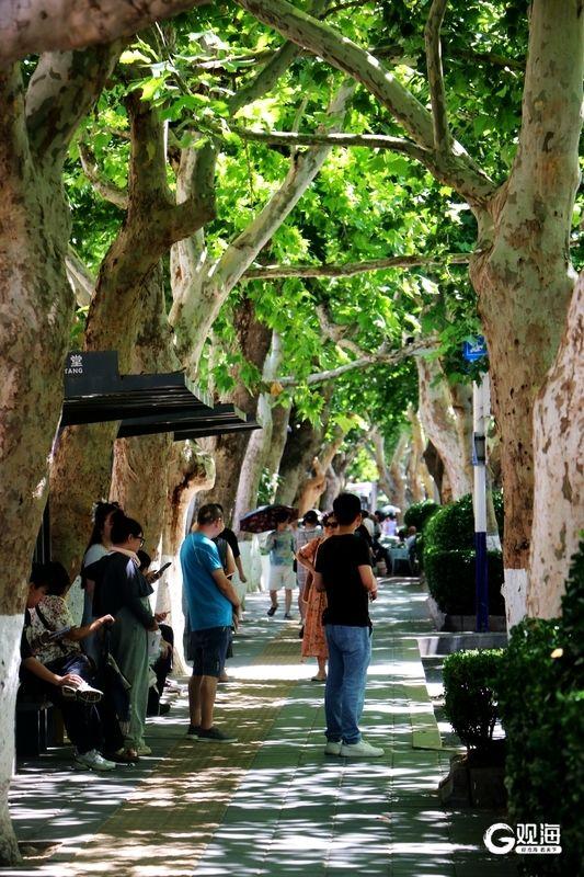 青岛老街漫行：打捞藏在街巷里的“美味”