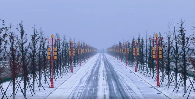 听雪落枝头，看松滋成画