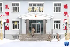 新春走基层丨小白杨，小白杨，而今大变样图片