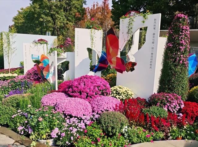 坐地铁，打卡武汉第42届金秋菊展