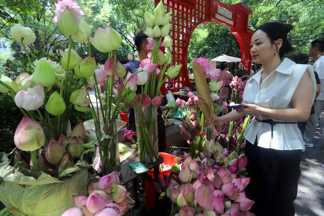 江苏苏州：荷花市集热闹非凡