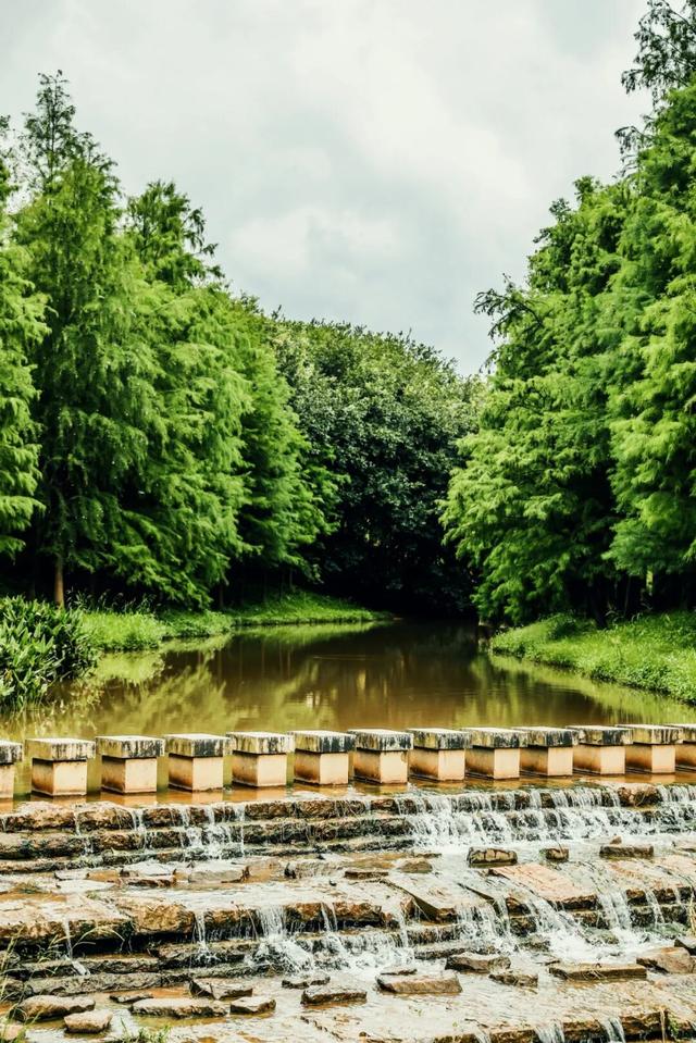 山的那边真的是海吗？为了探求真相，我决定周末就出发……