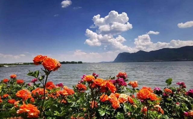 清凉旅居、火把节狂欢……这个夏天，就来云南避暑，美美吃菌~