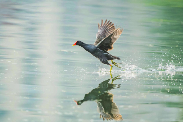 水清、岸绿、景美！越秀，“掂水”！
