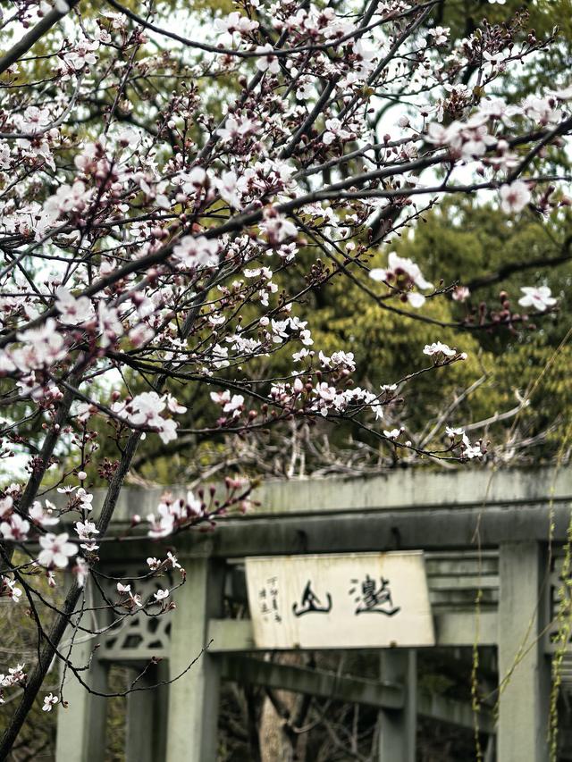晚潮｜邀山揖湖：四季繁花与千年山水