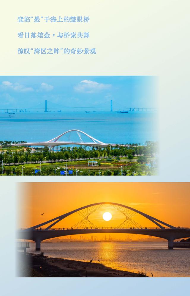 长图｜全国生态日，一同感受滨海湾近在咫尺的生态脉动