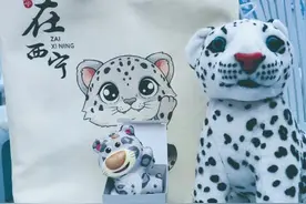 雪豹伴手礼的“出圈”记——西宁打造“雪豹之都”系列报道④图片