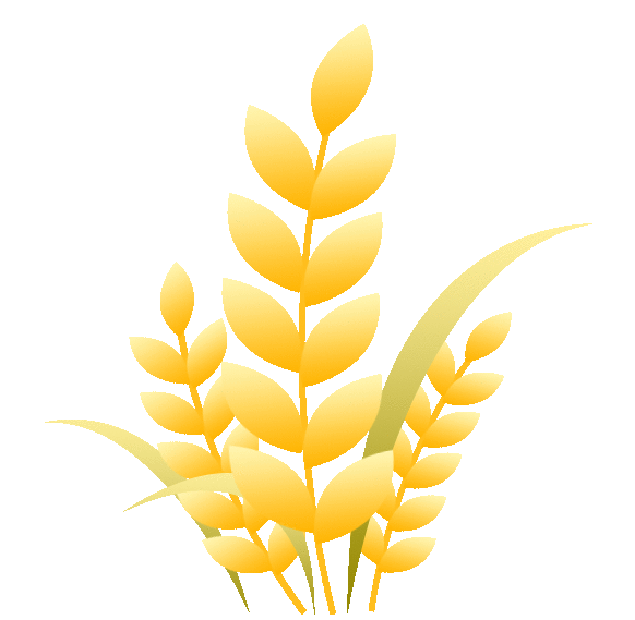 知识+100，快乐+100