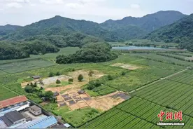 浙江绍兴发现第7座宋六陵“石藏子”，陵寝已发现半数图片