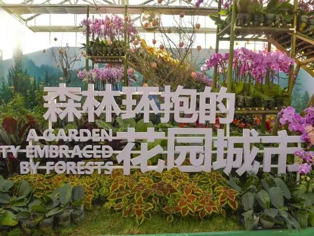 家庭园艺嘉年华｜北京兰花文化嘉年华将于明日启幕