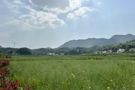 巧治土地“零碎账” 乡村振兴奏“丰”谣——重庆梁平全域土地综合整治一线见闻图片