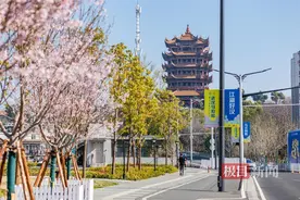 武昌城管：扮靓汉马“高颜值”，绘就最美赛道图片