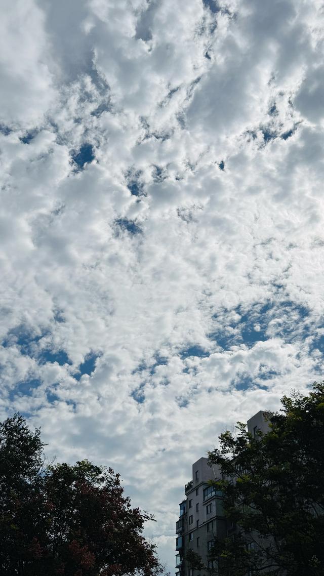 新视界｜白云如絮映秋色