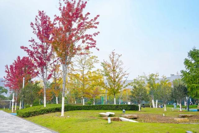 在蜀山，转角遇见美！这些地方已更新→