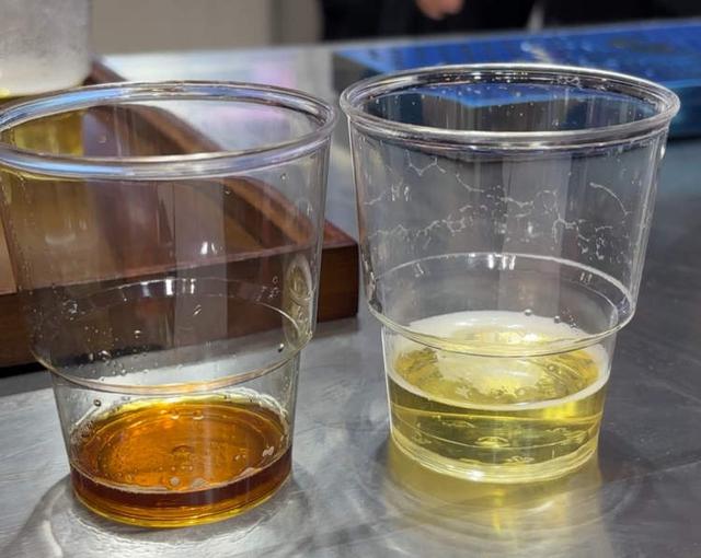 《流浪地球》同款无人卡车、浓缩掉啤酒80%水分的技术、没有方向盘的特斯拉出租车……今年进博会有多酷炫？｜进博Hi科技