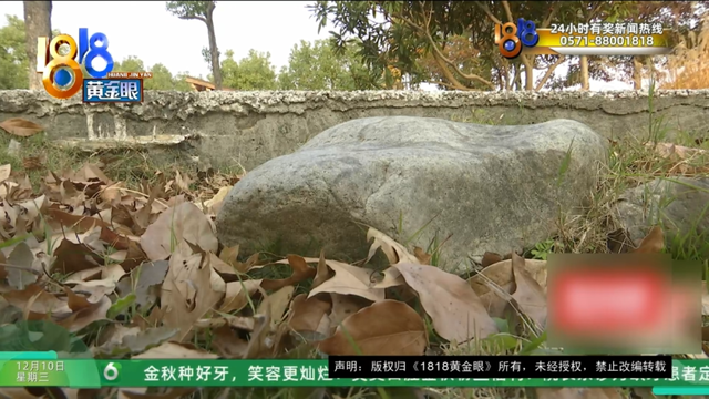 订1600元一晚的别墅套餐，还没住进去，妻子摔骨折了