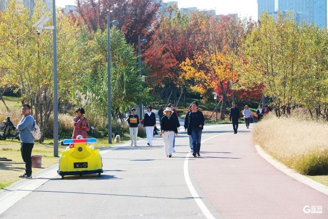 青岛人家门口的“生态园”：一河秋景，满园生机