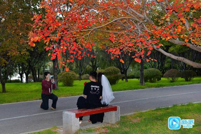 在潍坊汶河岸边，来一场最美的遇见！