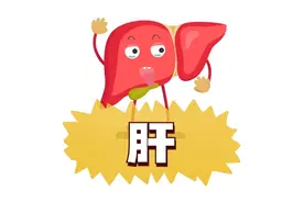 头发是五脏的“显示屏”：你的头发在替器官“说话”！图片