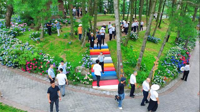 2025曾家山民宿产业发展大会举行