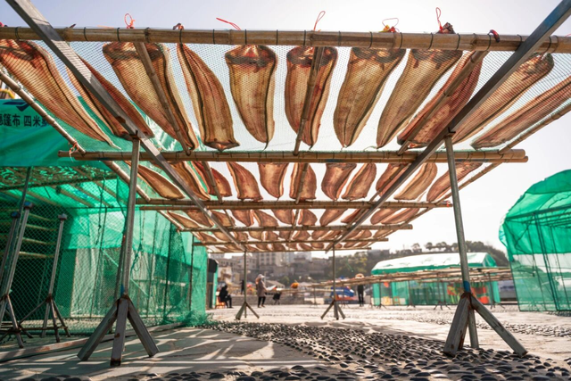 跟着交通去旅行 | 洞天福地，海上花园