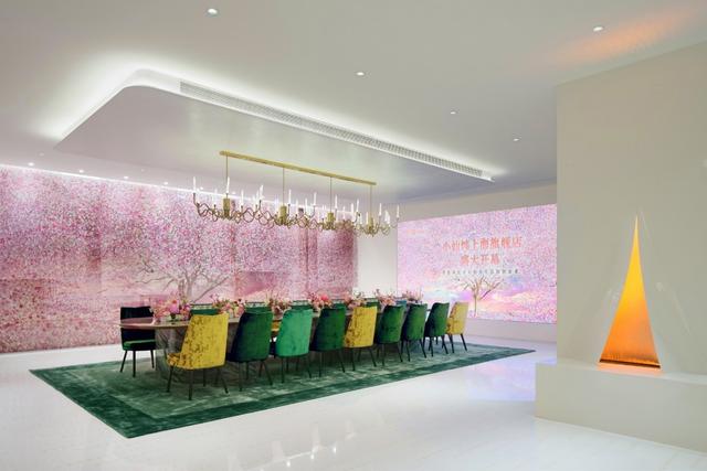 花胶阿胶炖土鸡 2026年花胶阿胶炖土鸡怎么做