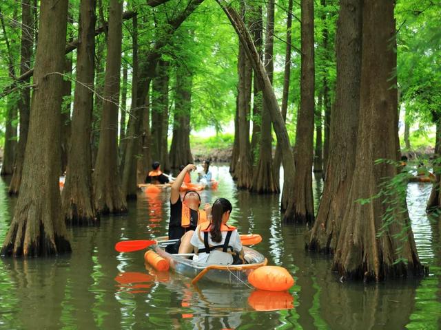 重磅福利！全运会期间，这些人可免票进入星湖景区→