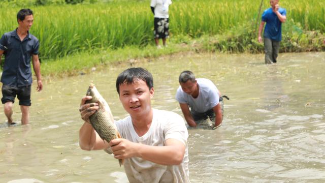 长寨街道上洪村第六届“六月六”民族文化节活动进行中，多彩活动燃爆夏日！