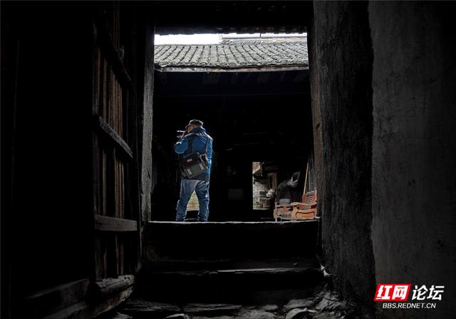 从“十八拐”到齐眉界，一条森林公园里的红色风景线