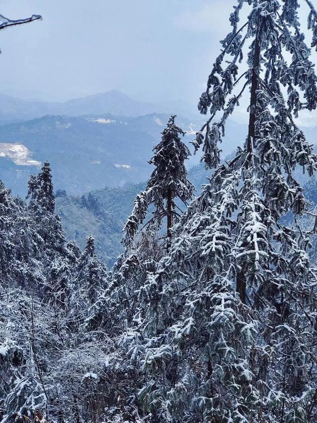 多地下雪！广西限定版“冰雪世界”已上线