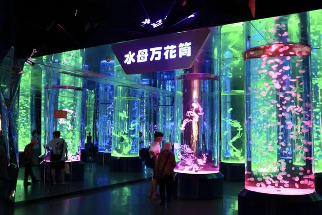 藏在成都的海洋王国，上新啦！
