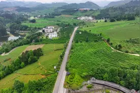 蓝莓生态之旅，领略别样田园风情（二）图片