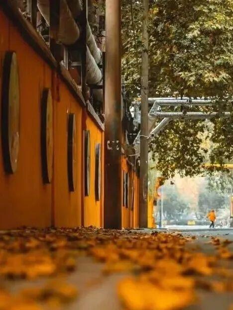 周末就去，洛阳这些街巷，太好“钻”了！