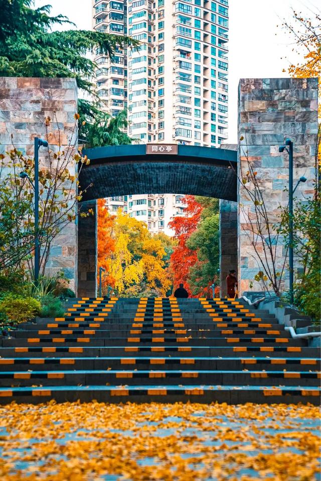 红枫+瀑布！上海市中心免费“斑斓山谷”迎来最美秋景→