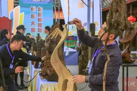 一套金丝楠木梳妆台拍卖价竟达5.2万元，芦山发展根雕产业底气何在？图片