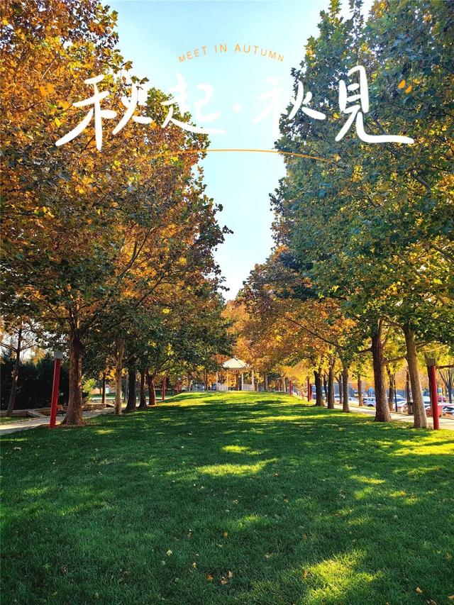 一键Get√氛围感！来这里，将海淀的秋收在镜头中——