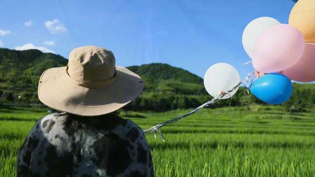 荷塘、稻田、露营……就在宁德这里→