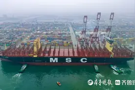 突破200万标箱！地中海航运在山东港口青岛港集装箱量创新高图片