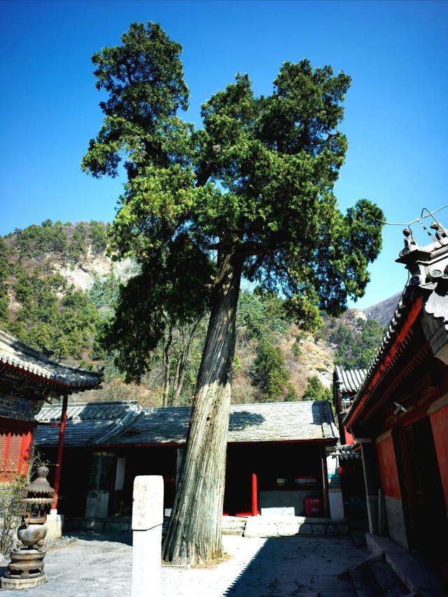 讲台之外，另有课堂！教师节，去房山学点儿“不一样的”