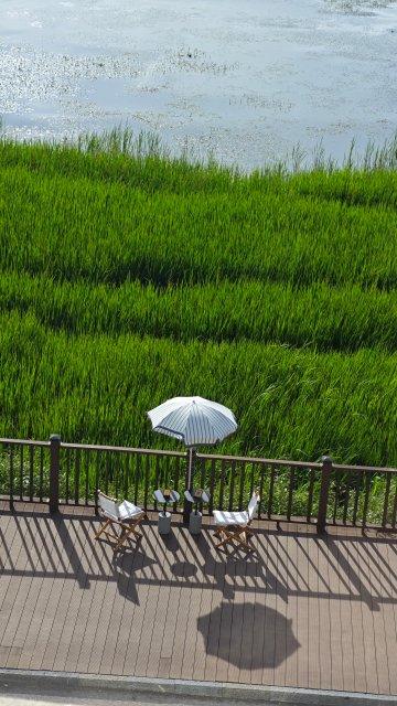 发布会｜长期旅居大理人数已突破60万