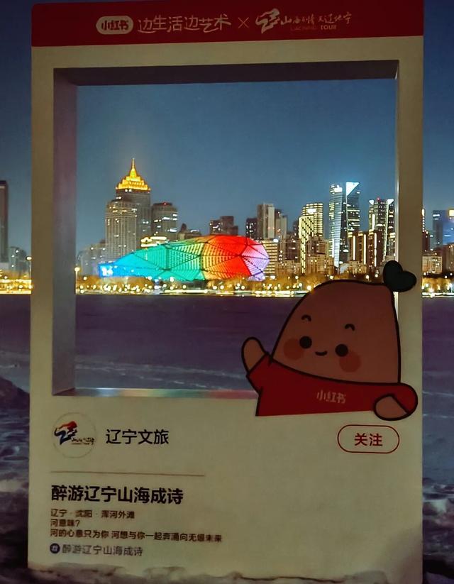 冰雪辽缘|雪落故乡，玫瑰、琴音唤远客