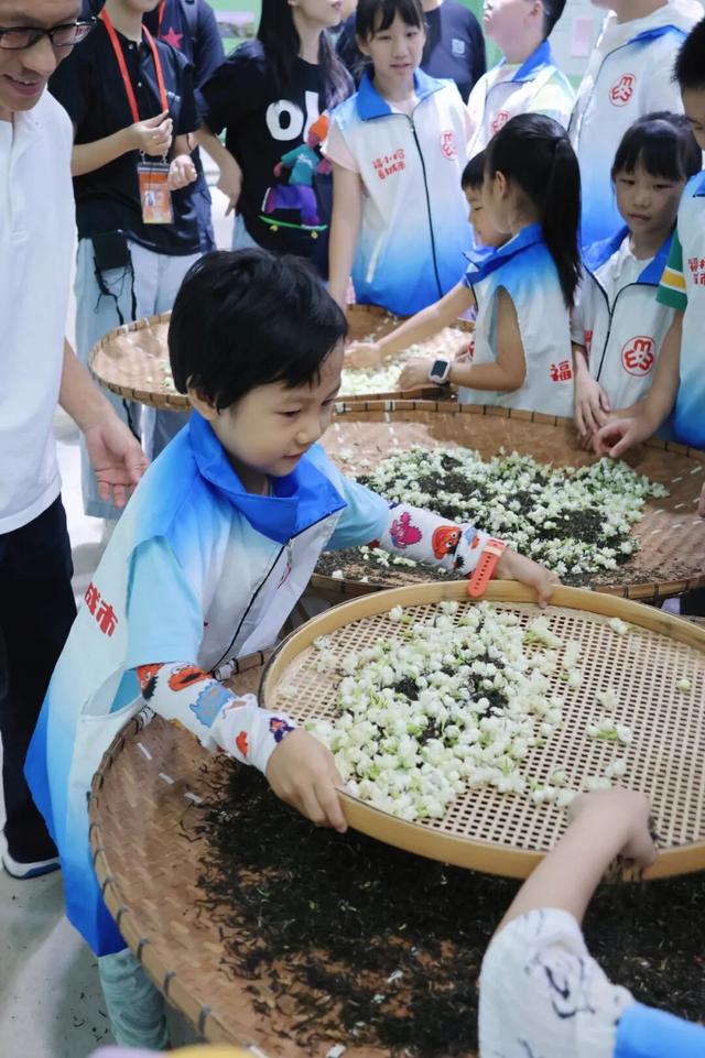 福小榕看城市丨“茉莉香韵 小玩家趣享茶”茉莉花茶文化节主题活动开展