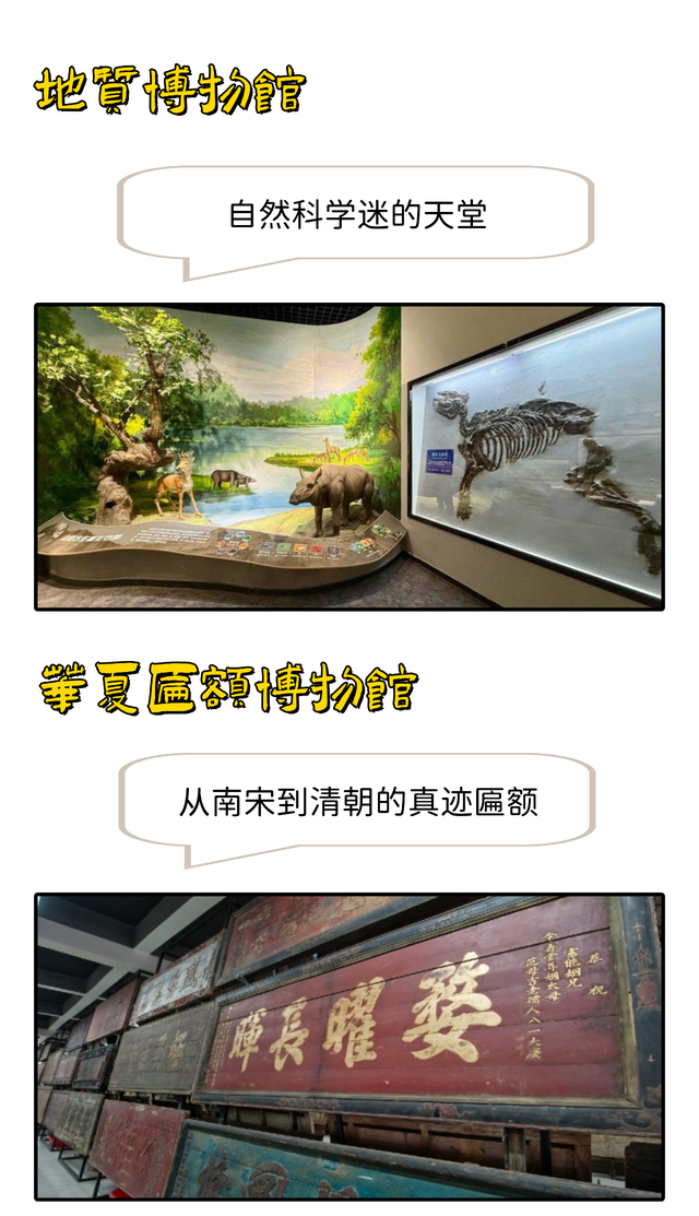 济南博物馆爆发了！