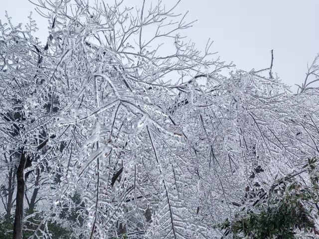 爱上如画江西的“冰火两重天”！
